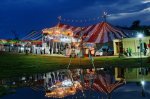 В Петербурге отметят Всемирный день цирка